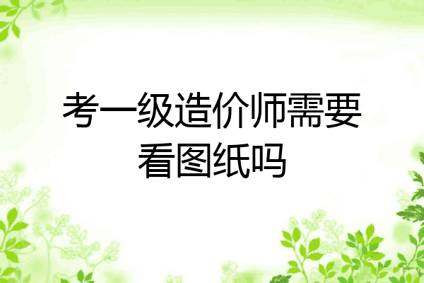 考一级造价师需要看图纸吗