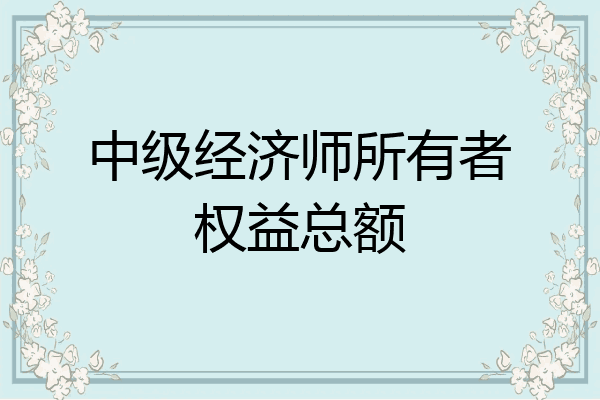 中级经济师所有者权益总额