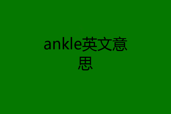 ankle英文意思
