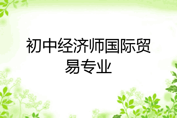 初中经济师国际贸易专业
