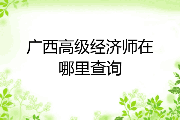 广西高级经济师在哪里查询