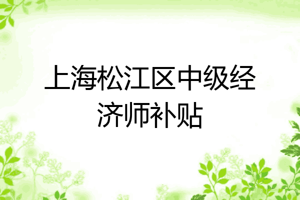 上海松江区中级经济师补贴