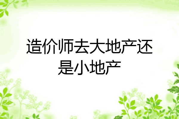 造价师去大地产还是小地产