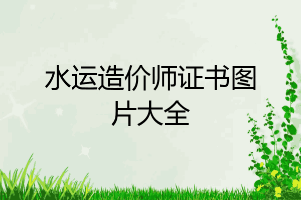水运造价师证书图片大全