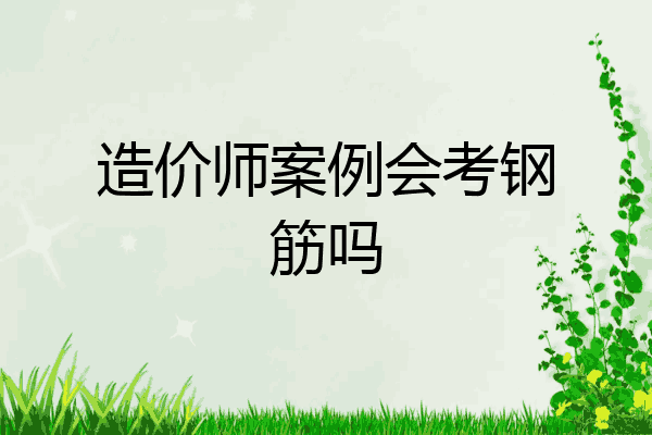 造价师案例会考钢筋吗