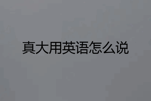 真大用英语怎么说