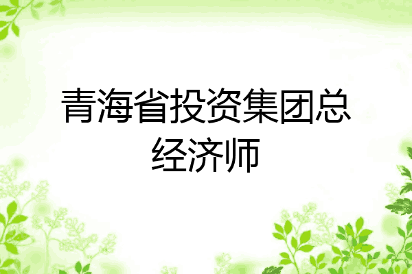 青海省投资集团总经济师
