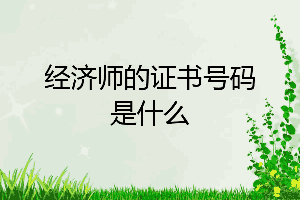 经济师的证书号码是什么