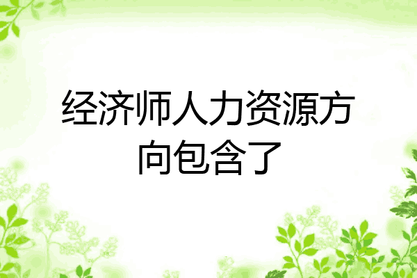 经济师人力资源方向包含了