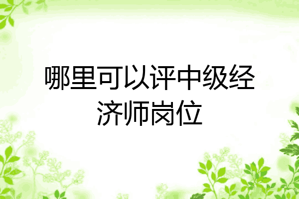 哪里可以评中级经济师岗位