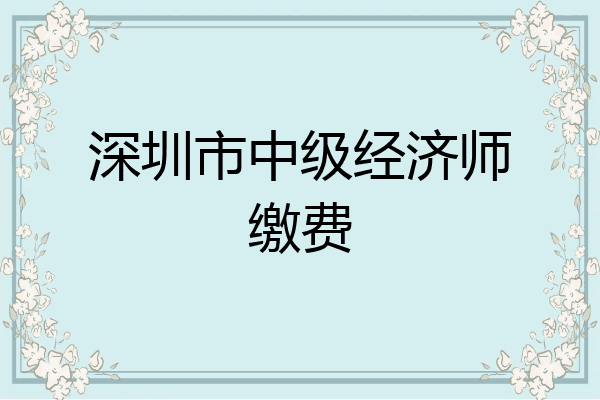深圳市中级经济师缴费
