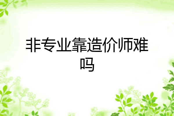 非专业靠造价师难吗