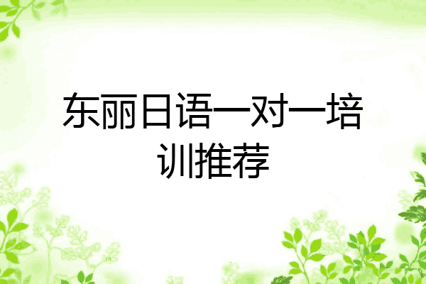 东丽日语一对一培训推荐