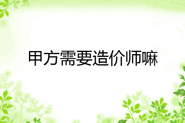 甲方需要造价师嘛