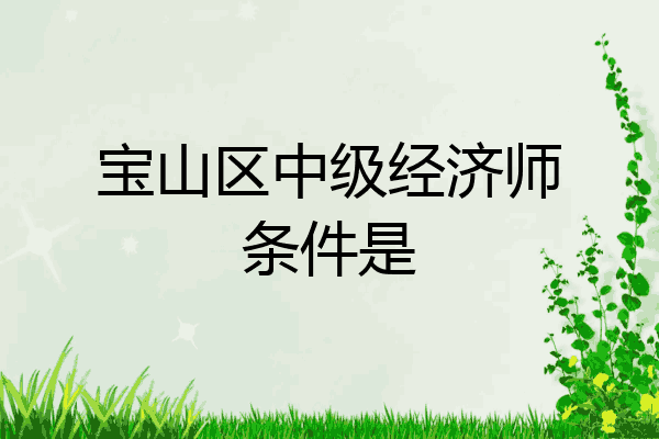 宝山区中级经济师条件是