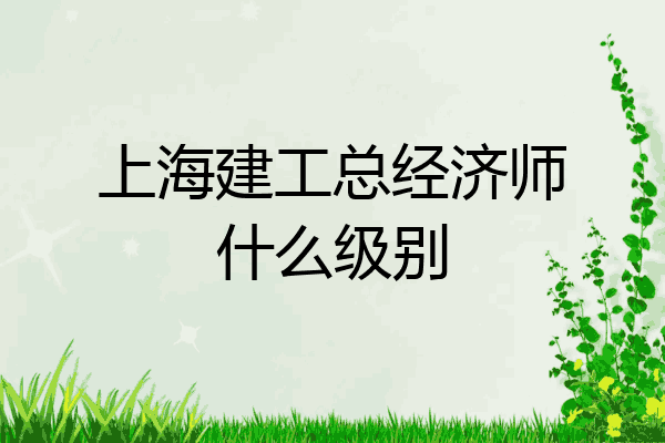 上海建工总经济师什么级别