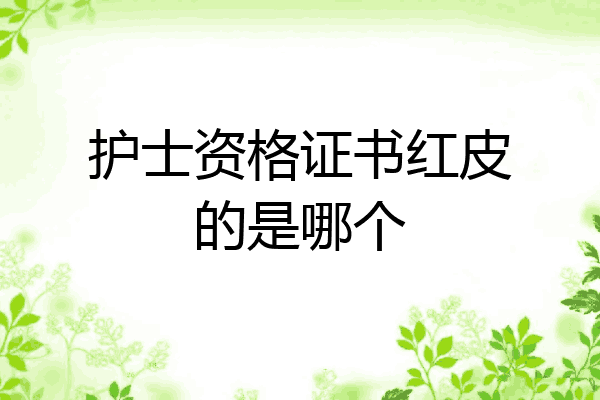 护士资格证书红皮的是哪个