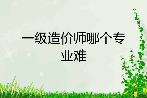 一级造价师哪个专业难