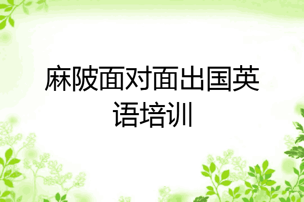 麻陂面对面出国英语培训