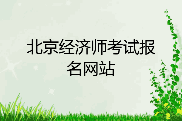 北京经济师考试报名网站