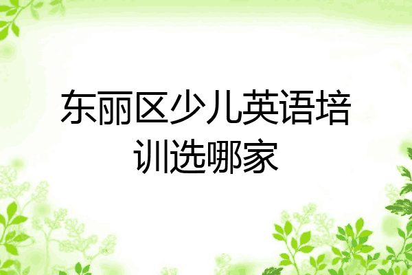 东丽区少儿英语培训选哪家