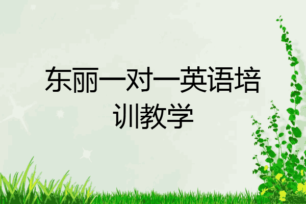 东丽一对一英语培训教学