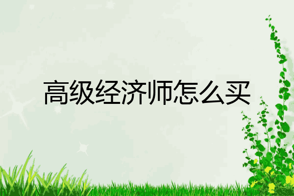 高级经济师怎么买