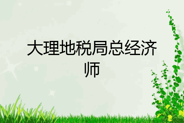 大理地税局总经济师