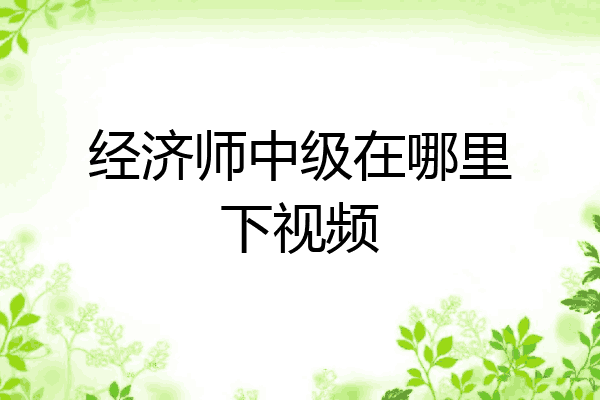 经济师中级在哪里下视频