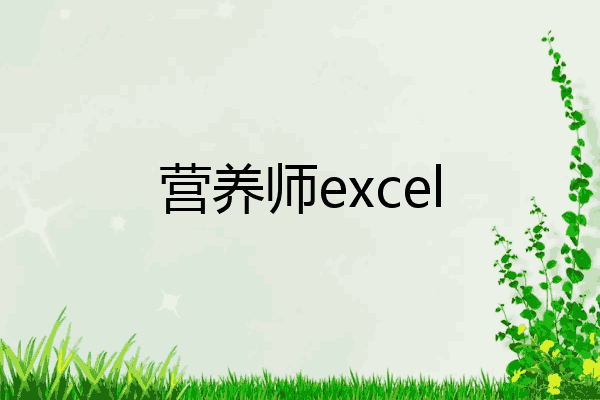 营养师excel