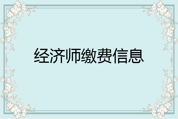 经济师缴费信息