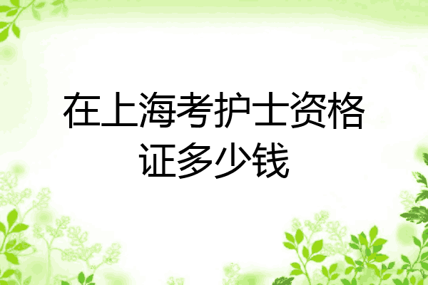 在上海考护士资格证多少钱