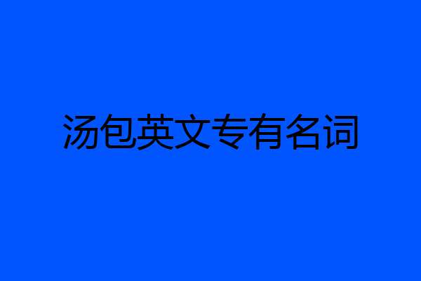 汤包英文专有名词
