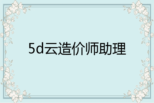 5d云造价师助理