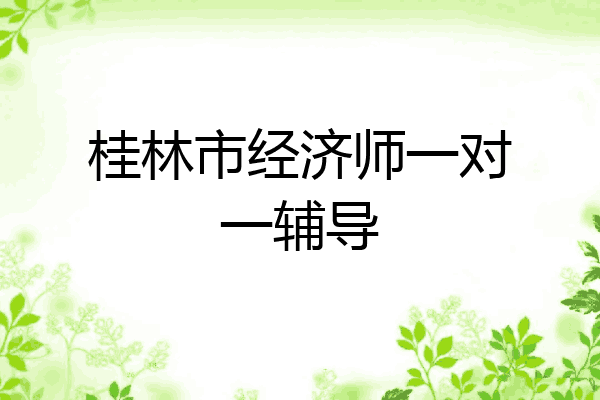 桂林市经济师一对一辅导