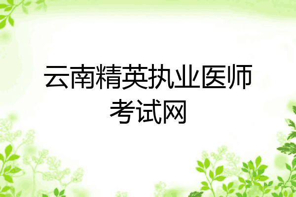 云南精英执业医师考试网