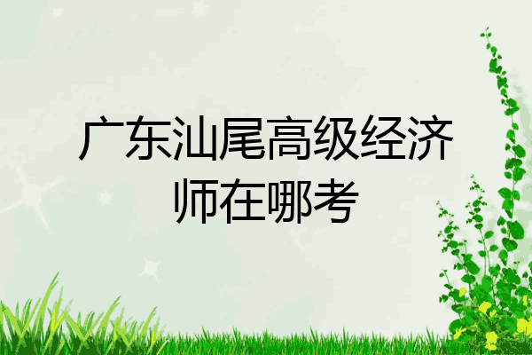 广东汕尾高级经济师在哪考