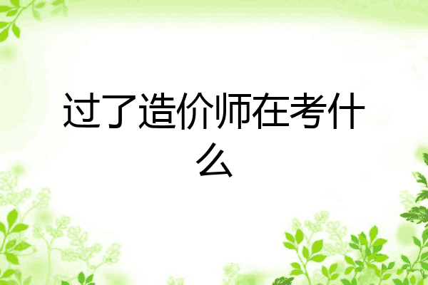 过了造价师在考什么