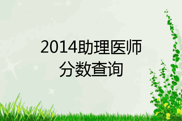 2014助理医师分数查询