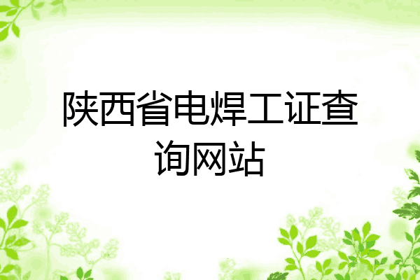 陕西省电焊工证查询网站