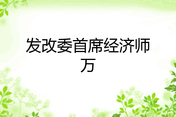 发改委首席经济师万