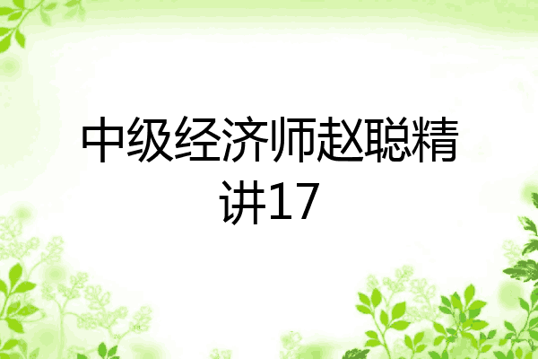 中级经济师赵聪精讲17