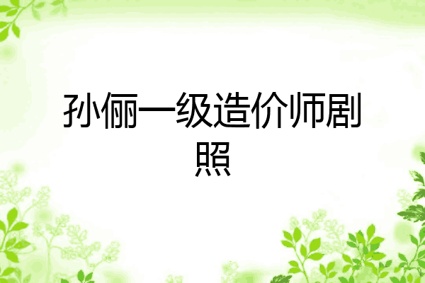 孙俪一级造价师剧照