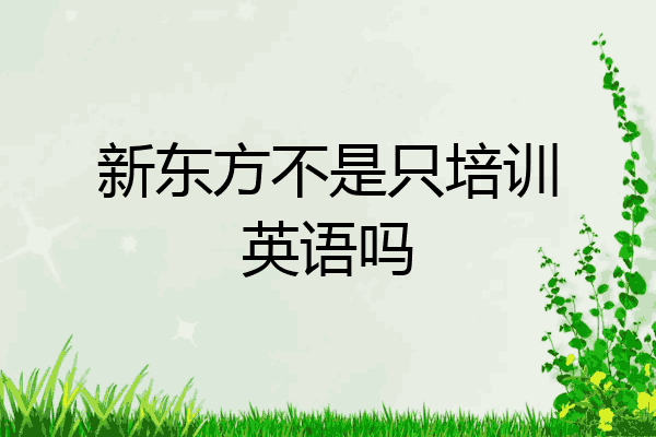 新东方不是只培训英语吗