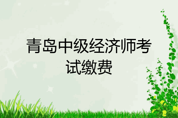 青岛中级经济师考试缴费