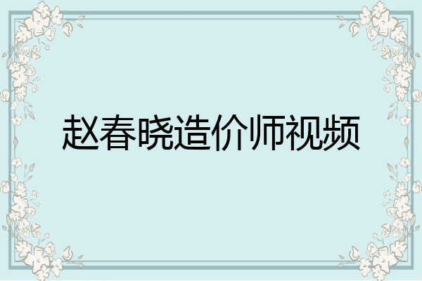 赵春晓造价师视频