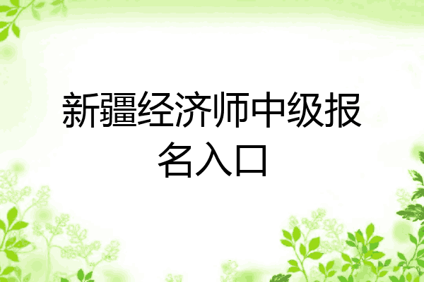 新疆经济师中级报名入口