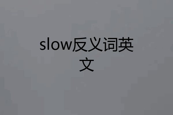 slow反义词英文