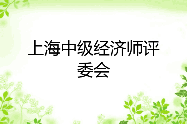 上海中级经济师评委会