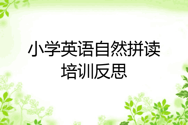 小学英语自然拼读培训反思